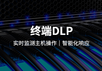 天锐终端数据泄露防护系统